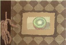Guest Book 4